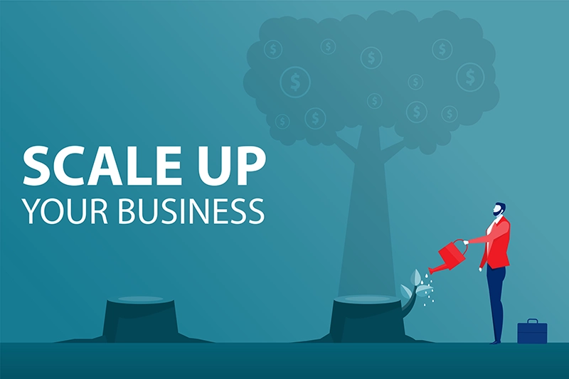 Scale Up Your Business